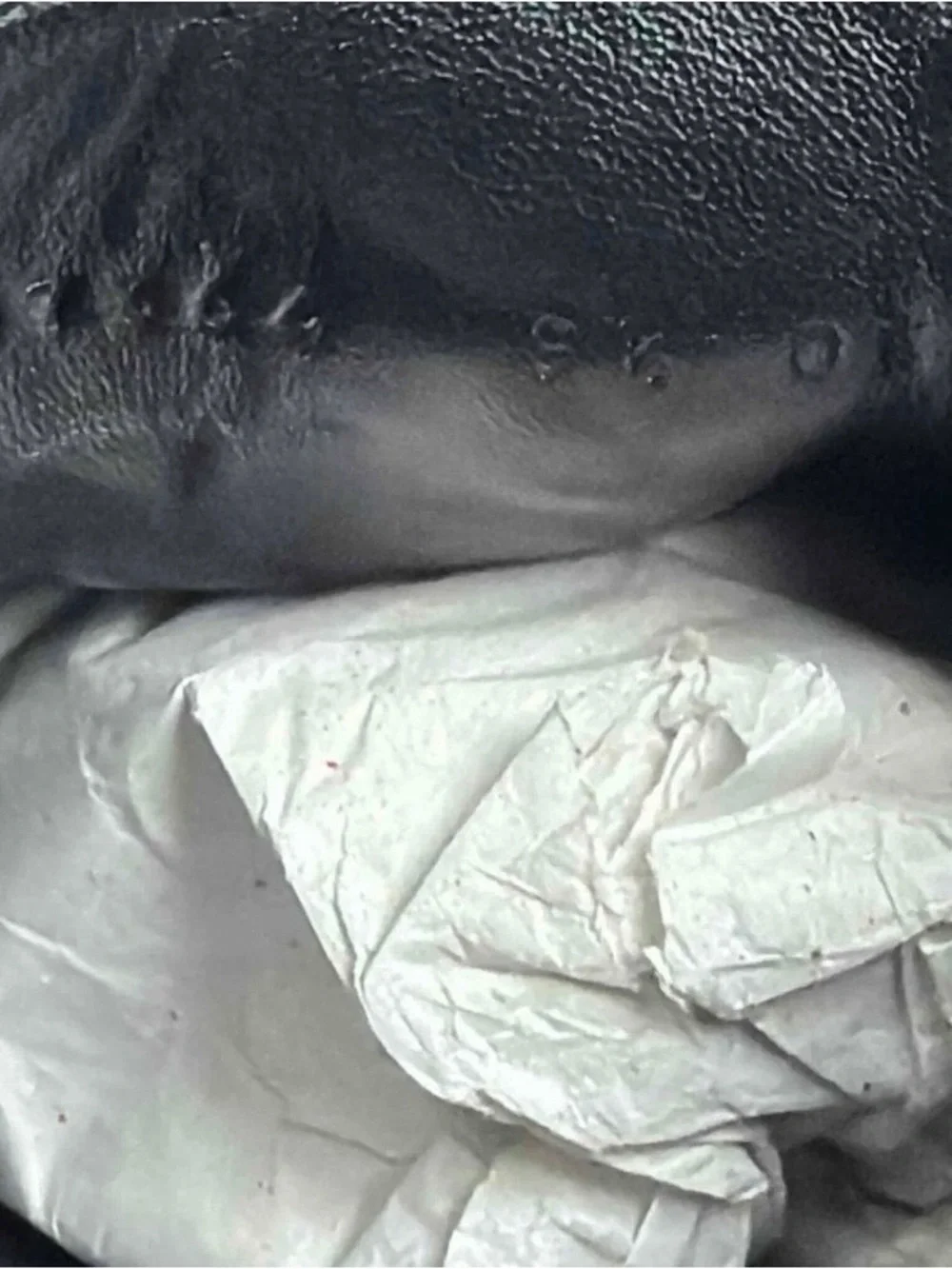 Gucci Slip-On Low Bees Black Size 9.5 UK / 10 US Men’s Designer Shoes Italy Rare - Picture 9 of 10